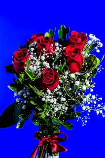 A vibrant bouquet of red roses with delicate white baby's breath accents.