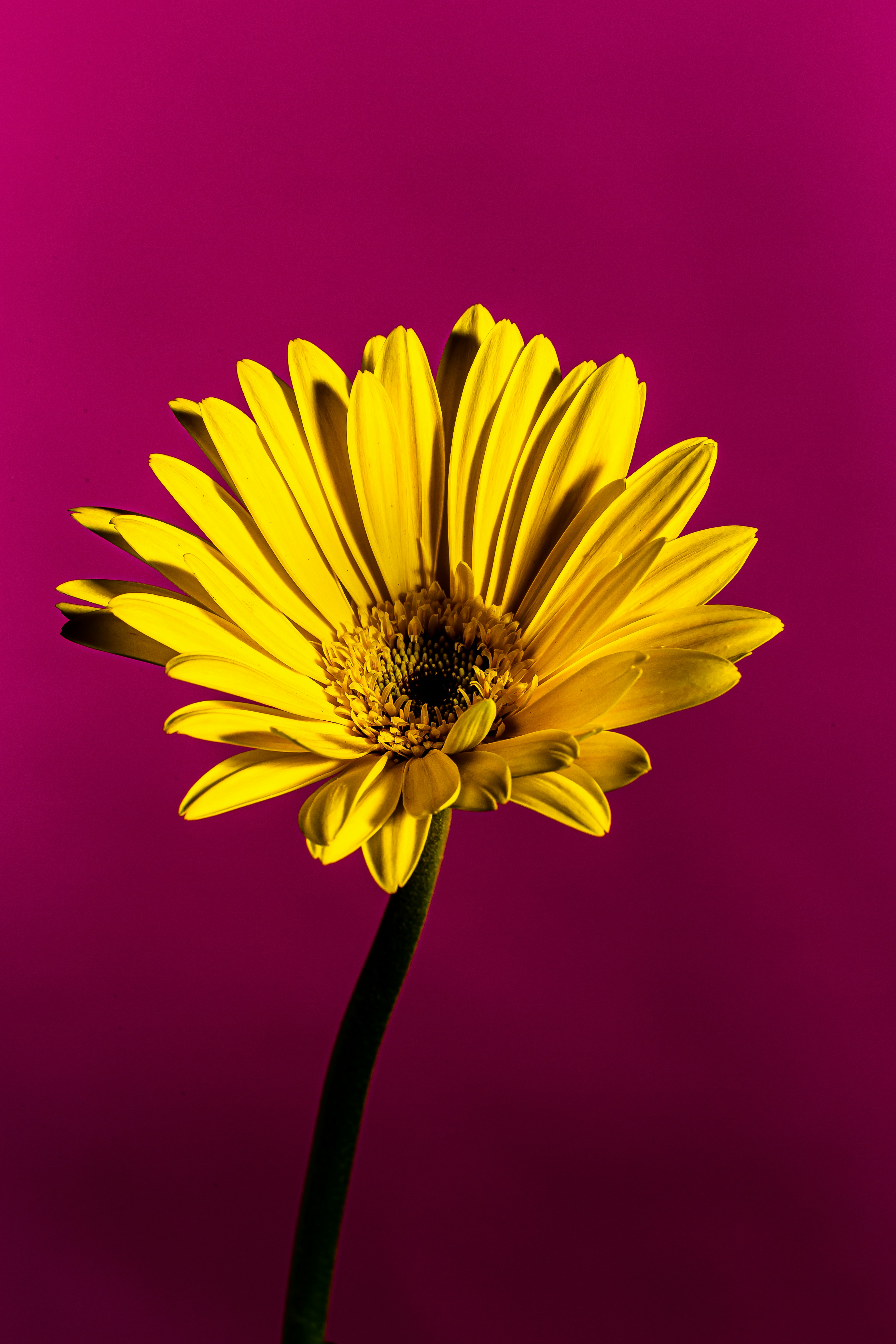 Photo by _staticvoid