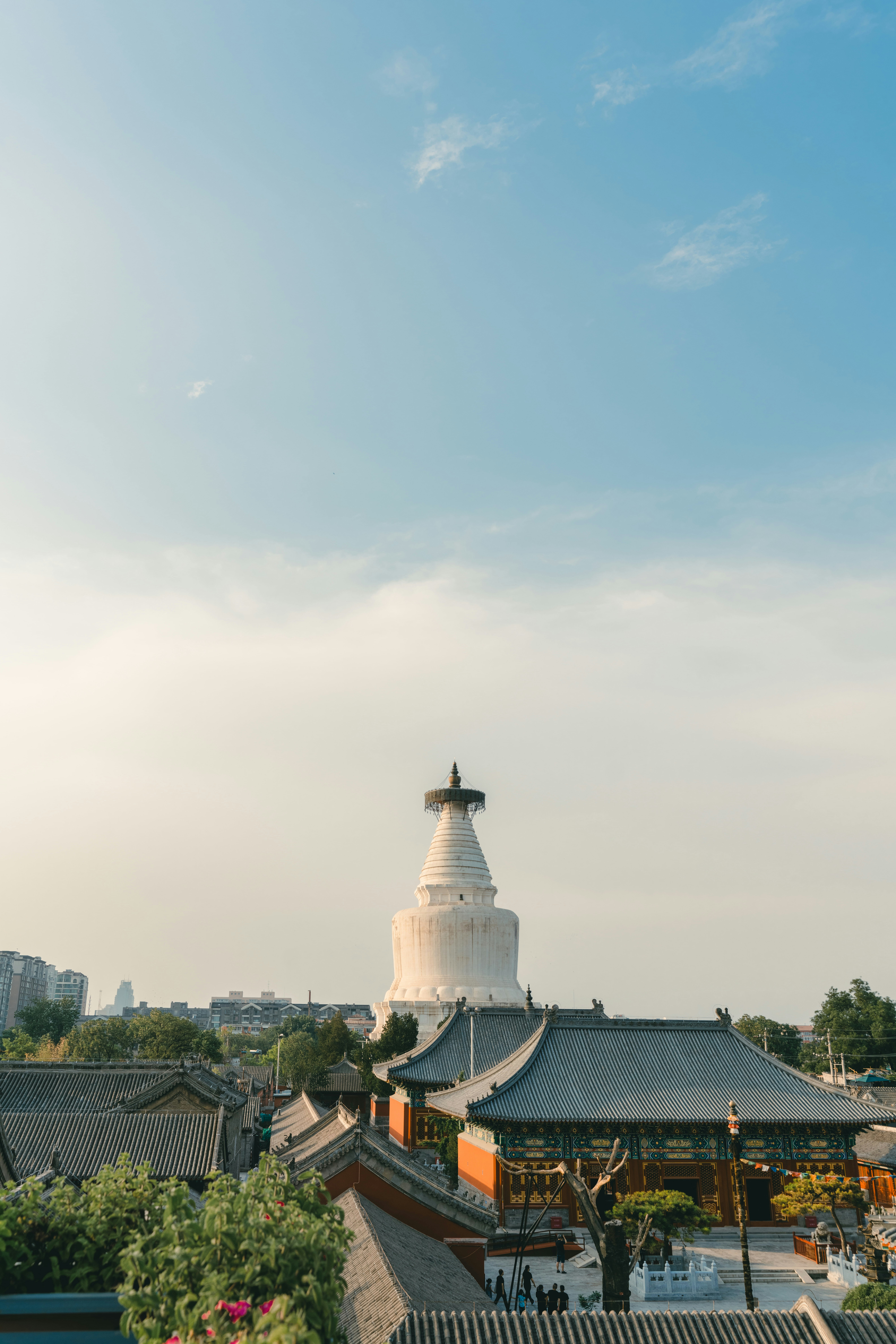 Photo by zhangkaiyv
