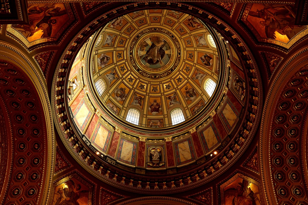 brown and black dome ceiling