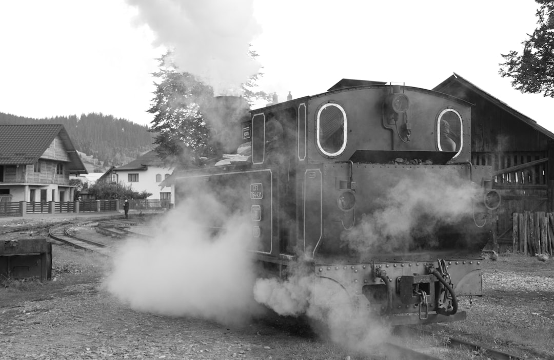 grayscale photo of smoke coming out from train