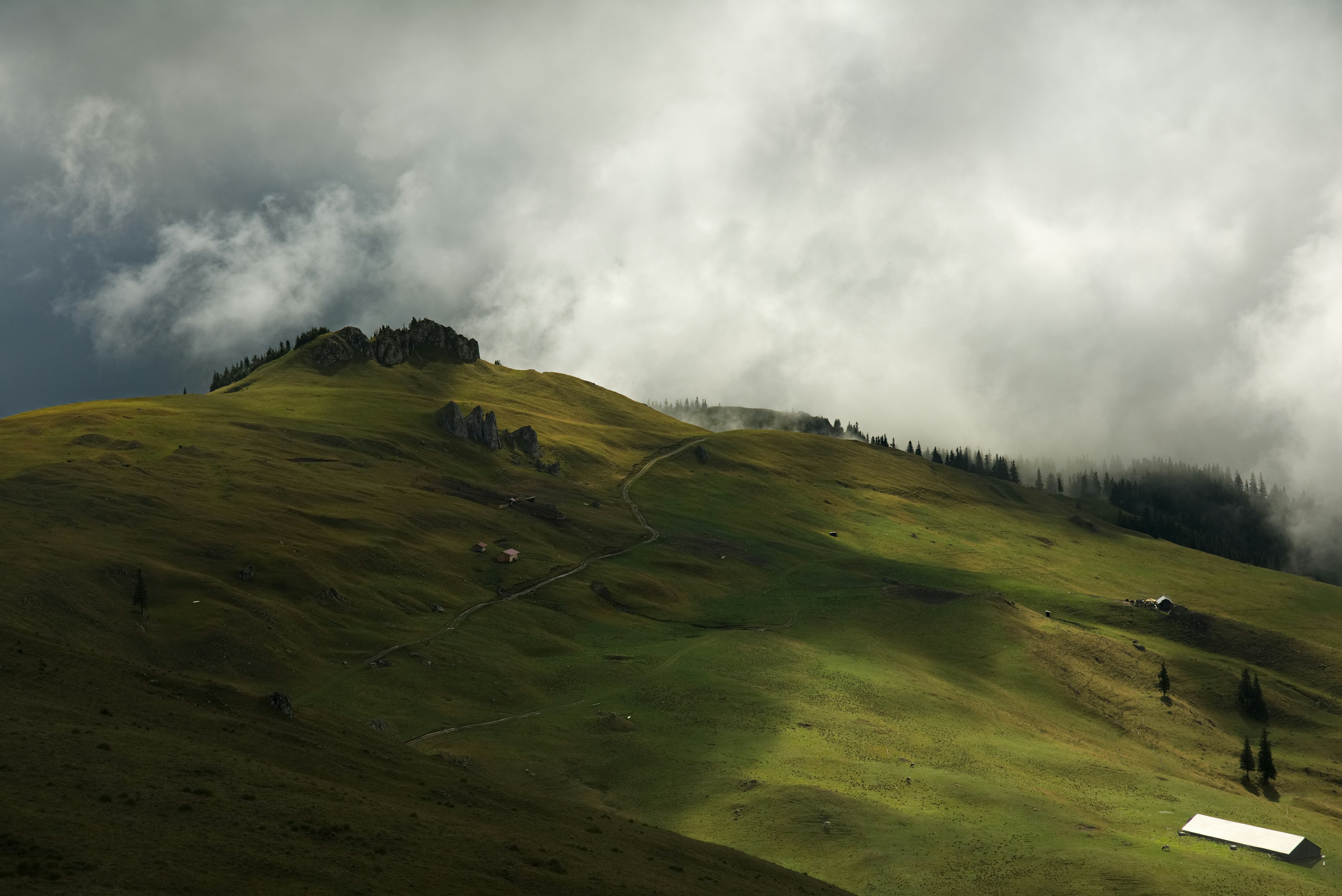 green grass field under cloudy sky during daytime