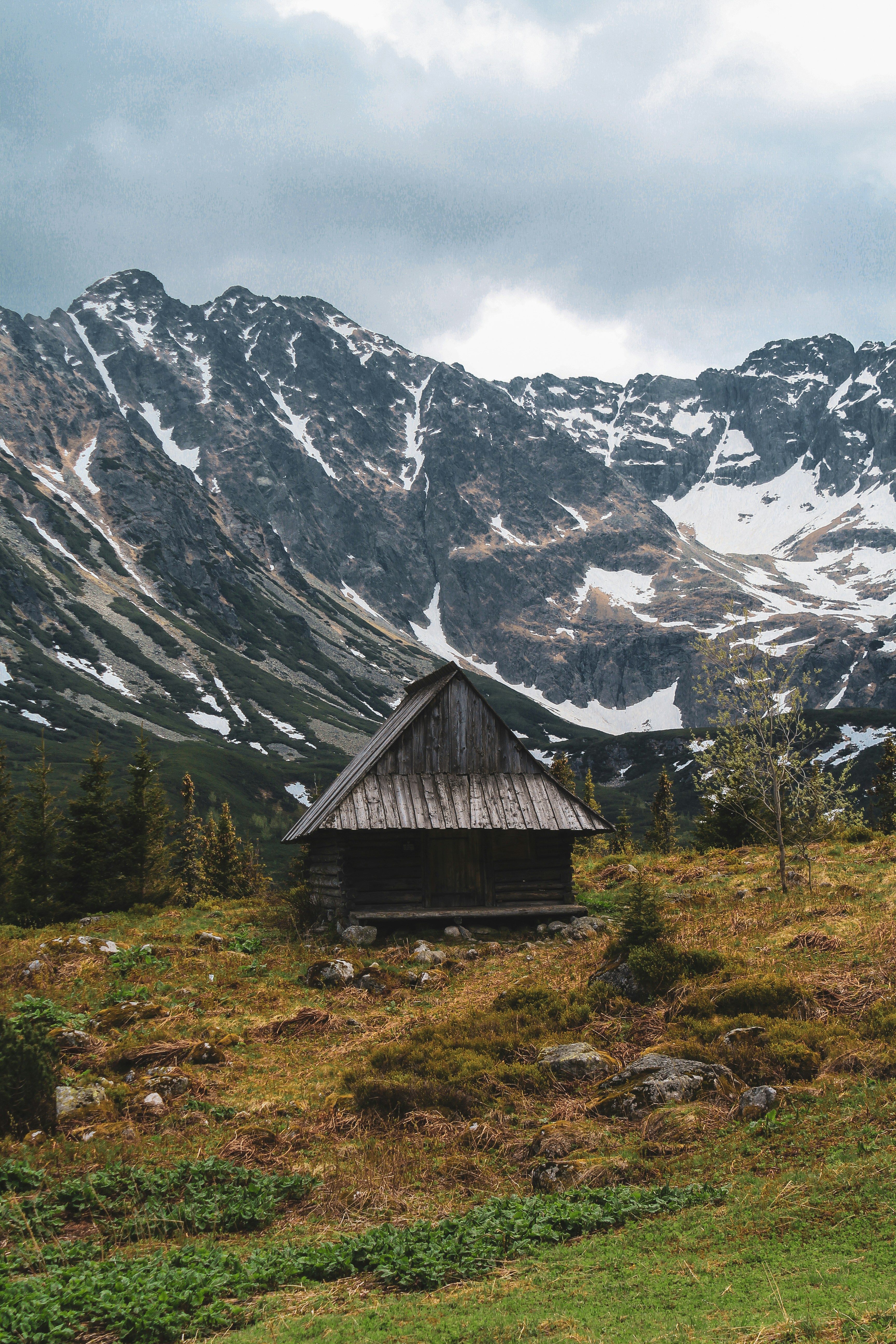 Photo by bianca_fazacas