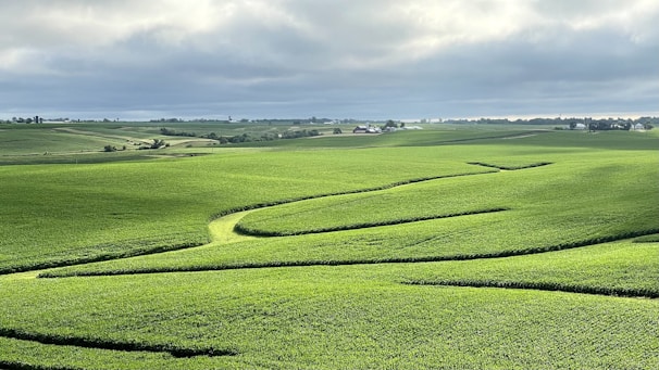 Casual farming game interface featuring a lush green farm with crops and friendly animals.