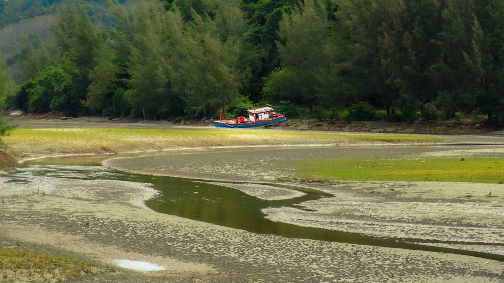 red and white boat on river during daytime