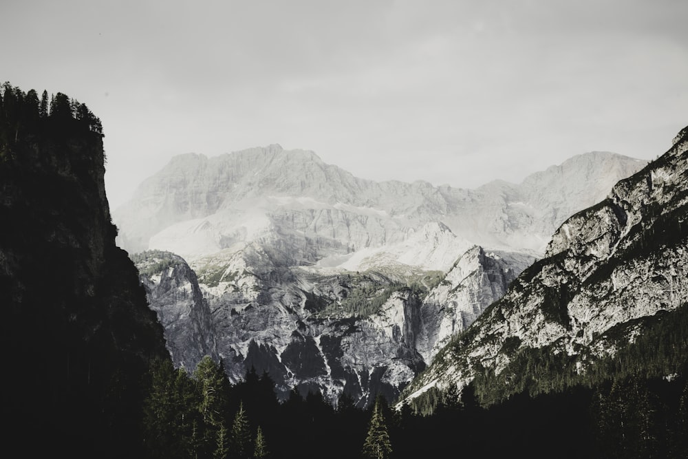 green trees on mountain during daytime