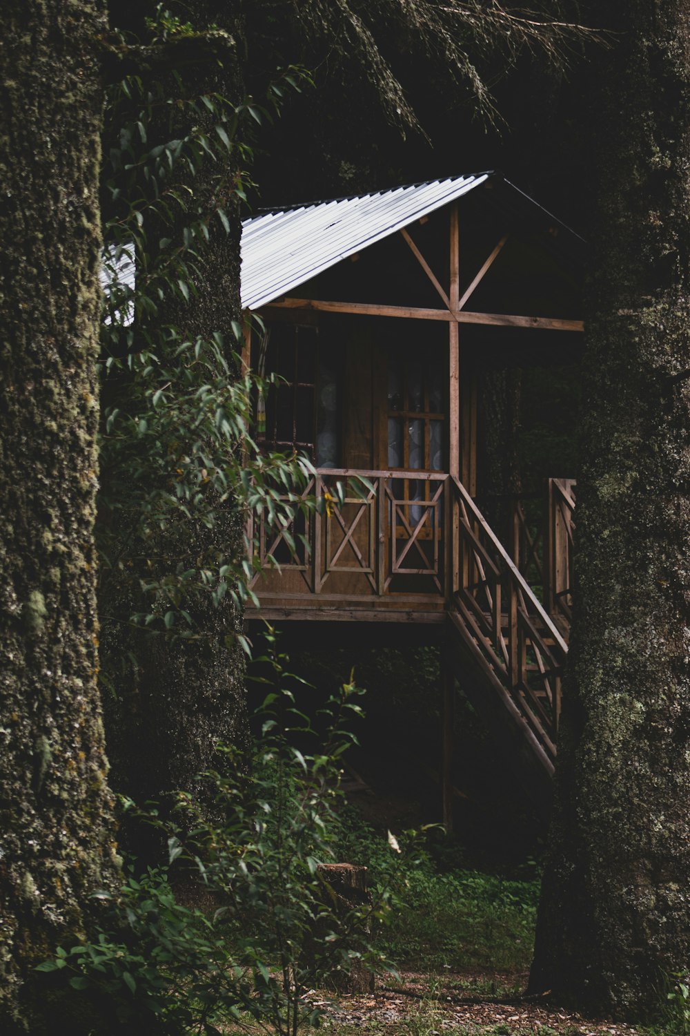 森の中の茶色の木造家屋