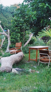 A serene outdoor setting showcasing wooden decor items surrounded by nature.