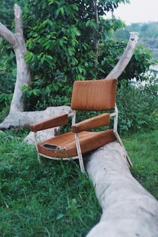 An old, weathered chair with a fabric seat and backrest is placed on a large fallen tree trunk. The setting appears to be outdoors in a lush, green environment with grass and leafy trees surrounding the scene.