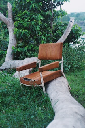 A plush outdoor chair pad resting on a rustic wooden chair beside a leafy shrub.
