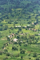 Lush green landscape surrounding a newly developed residential area.