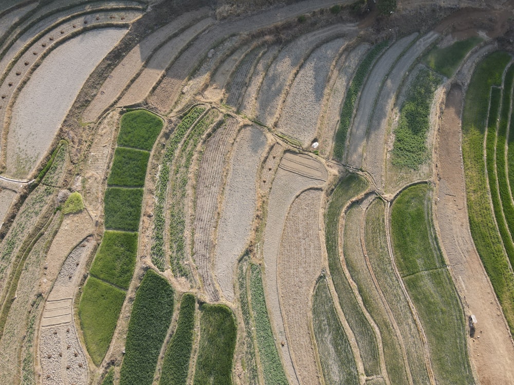 aerial view of green grass field