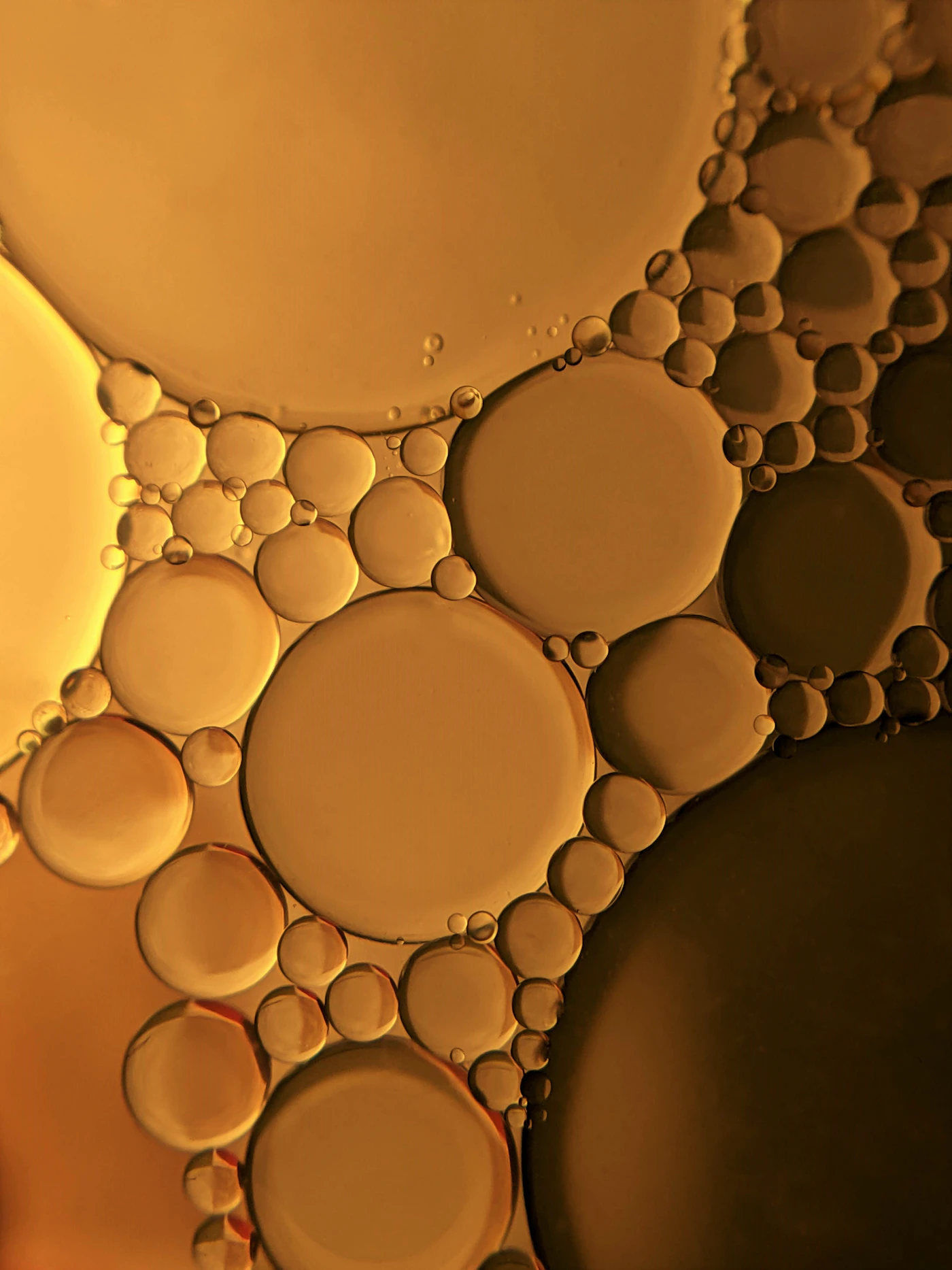 Golden oil in macro, soft round droplets