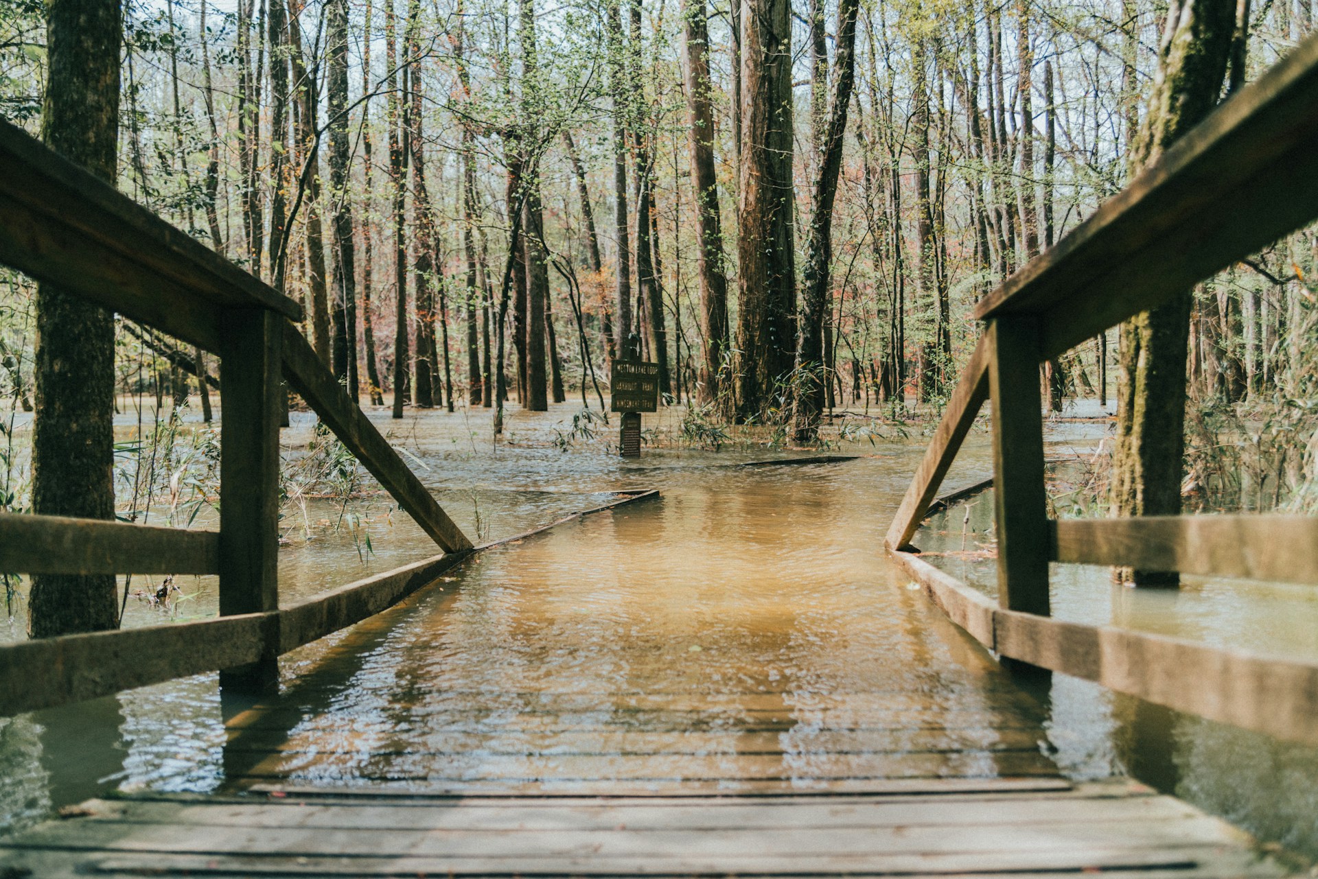 brown wooden bridge in the woods