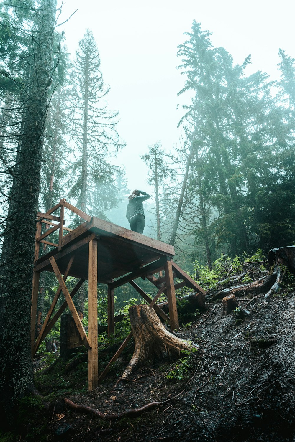 brown wooden ladder on forest during daytime