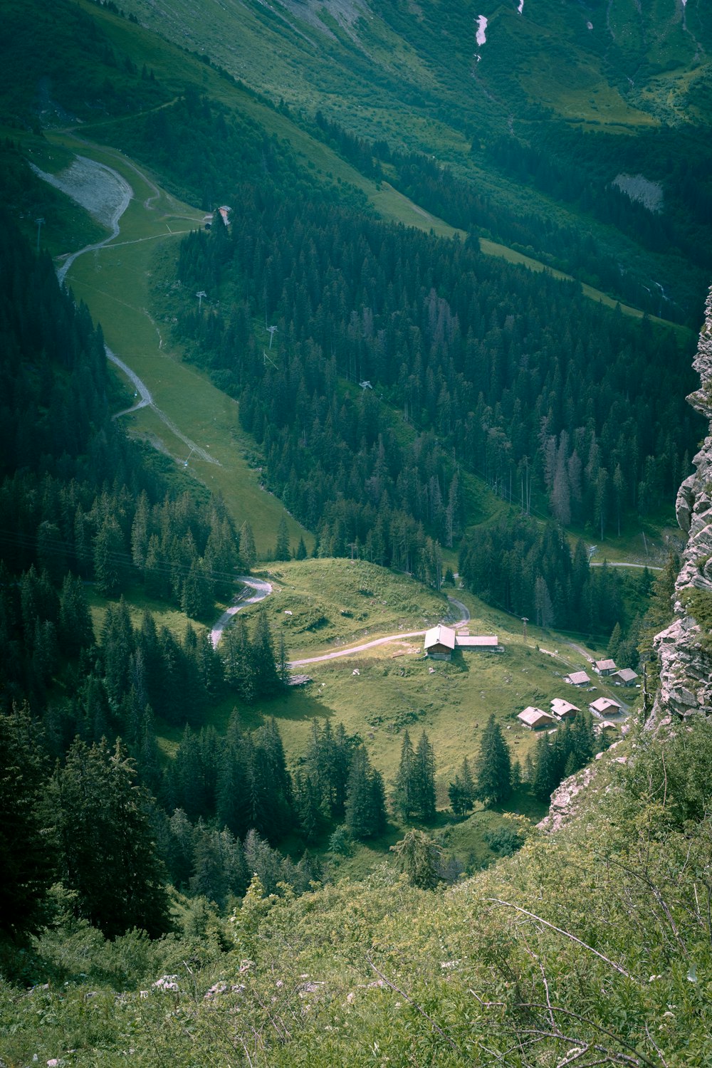 green trees on mountain during daytime