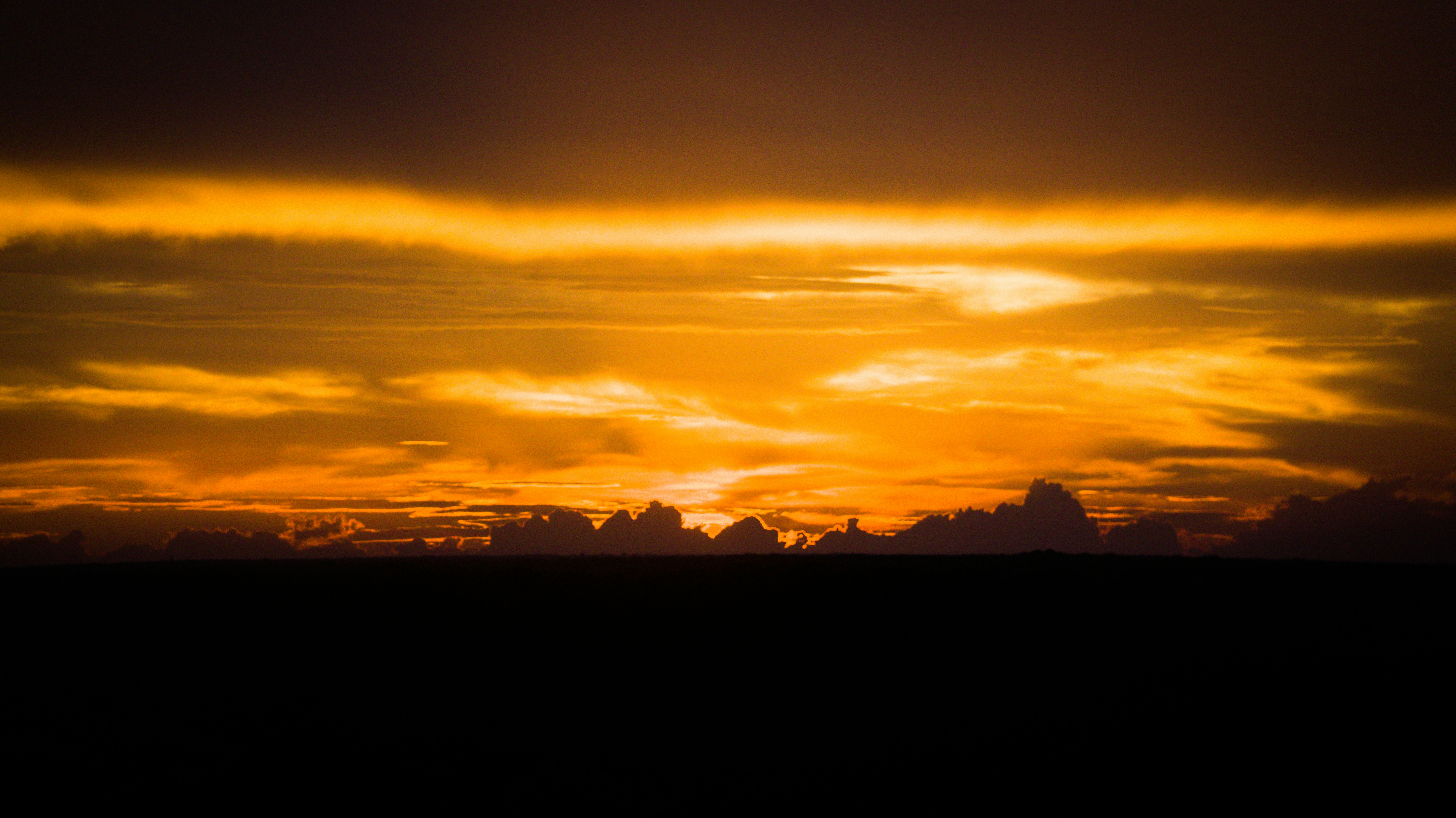 Photo by zacharyl123