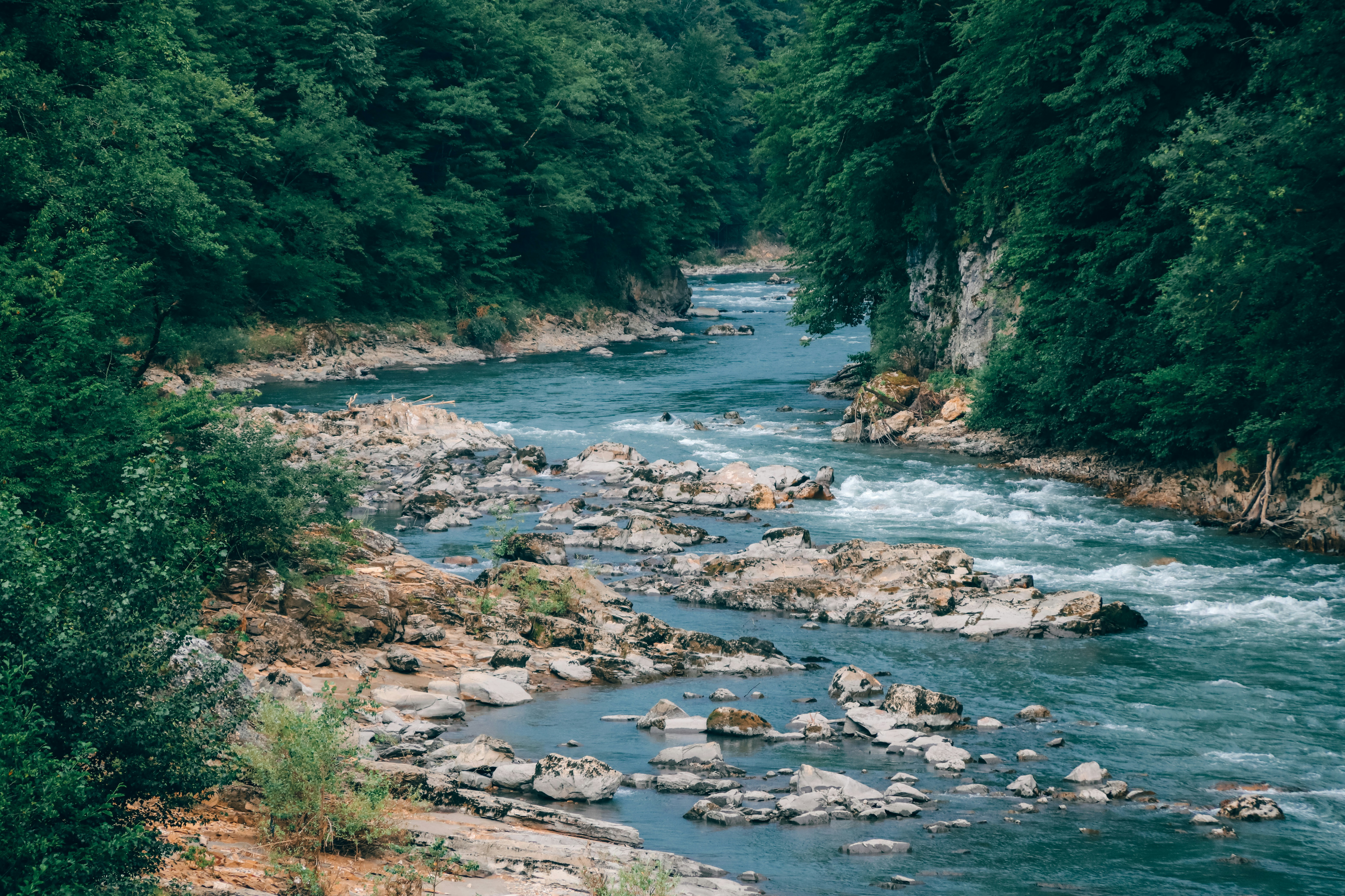 Photo by slon_v_kashe