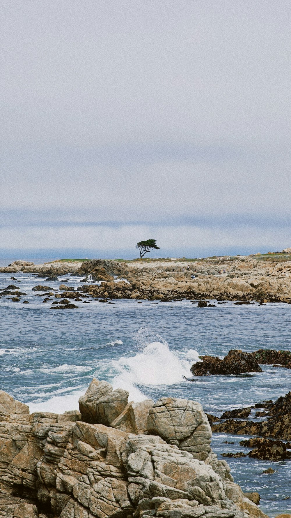 bird flying over the ocean during daytime