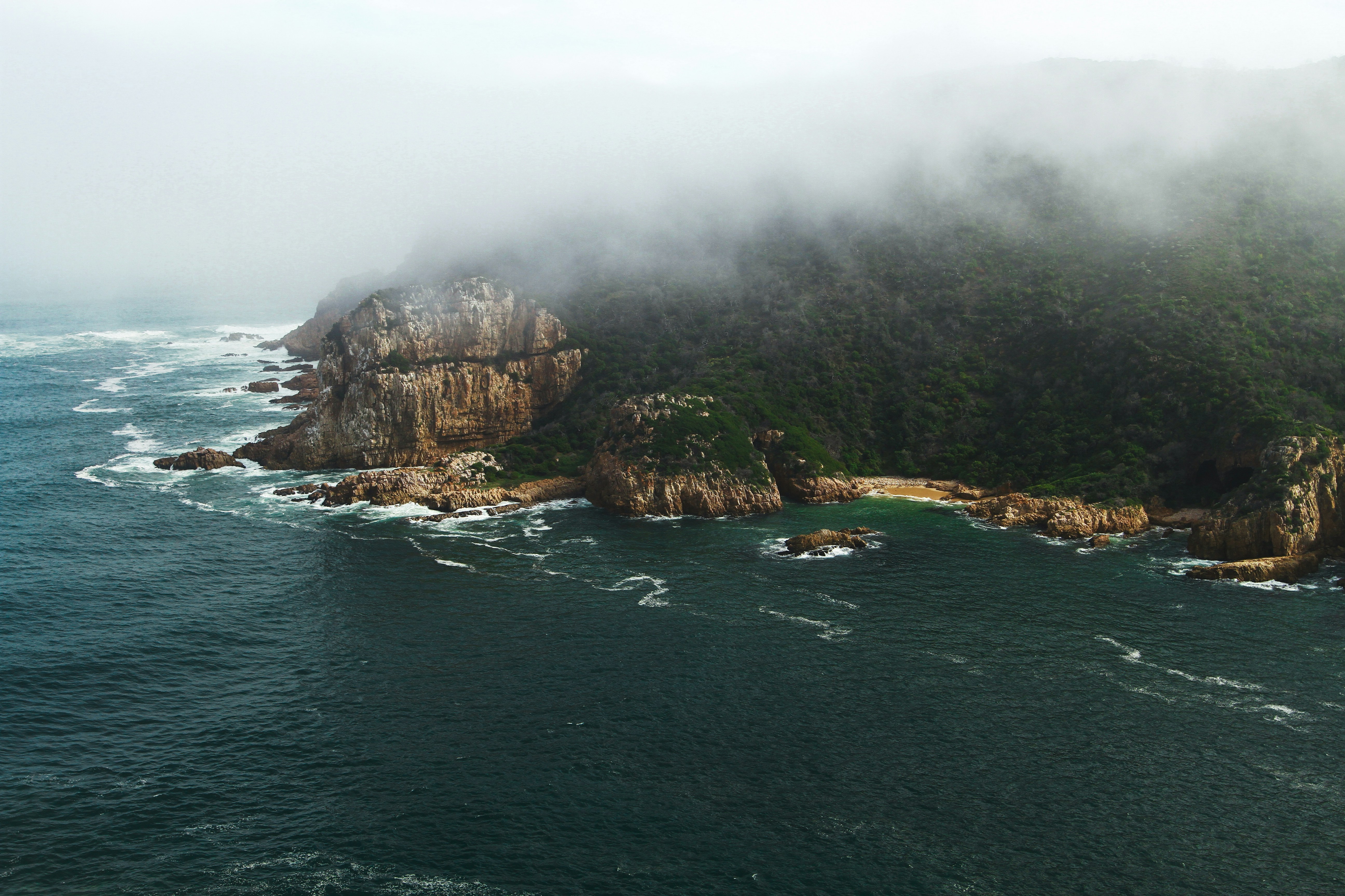 green trees on mountain near body of water during daytime