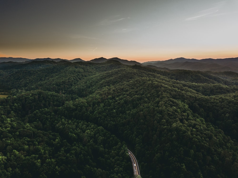 green trees on mountain during daytime