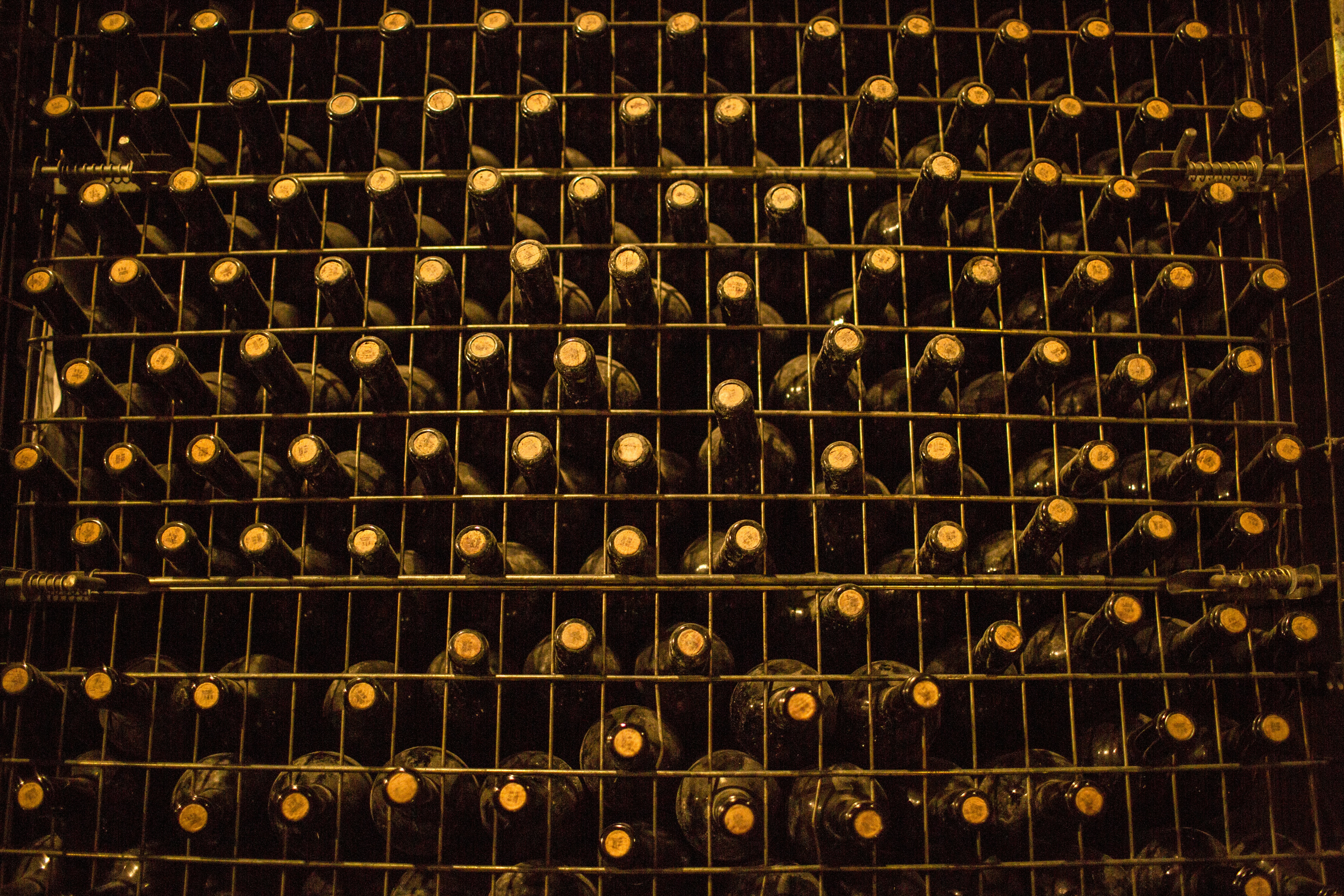 Photo by kelsenfernandes