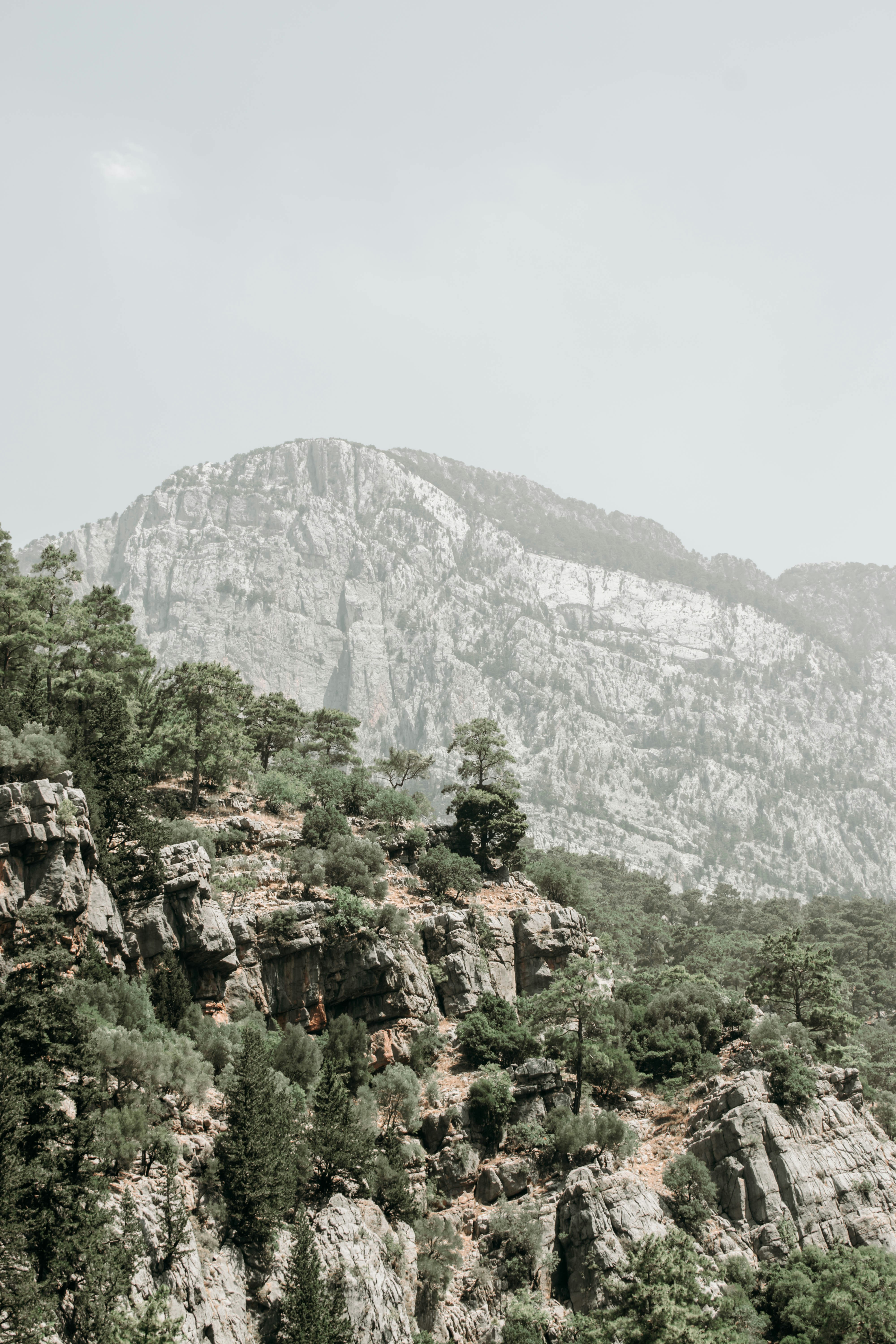 Photo by zanetepetkuna