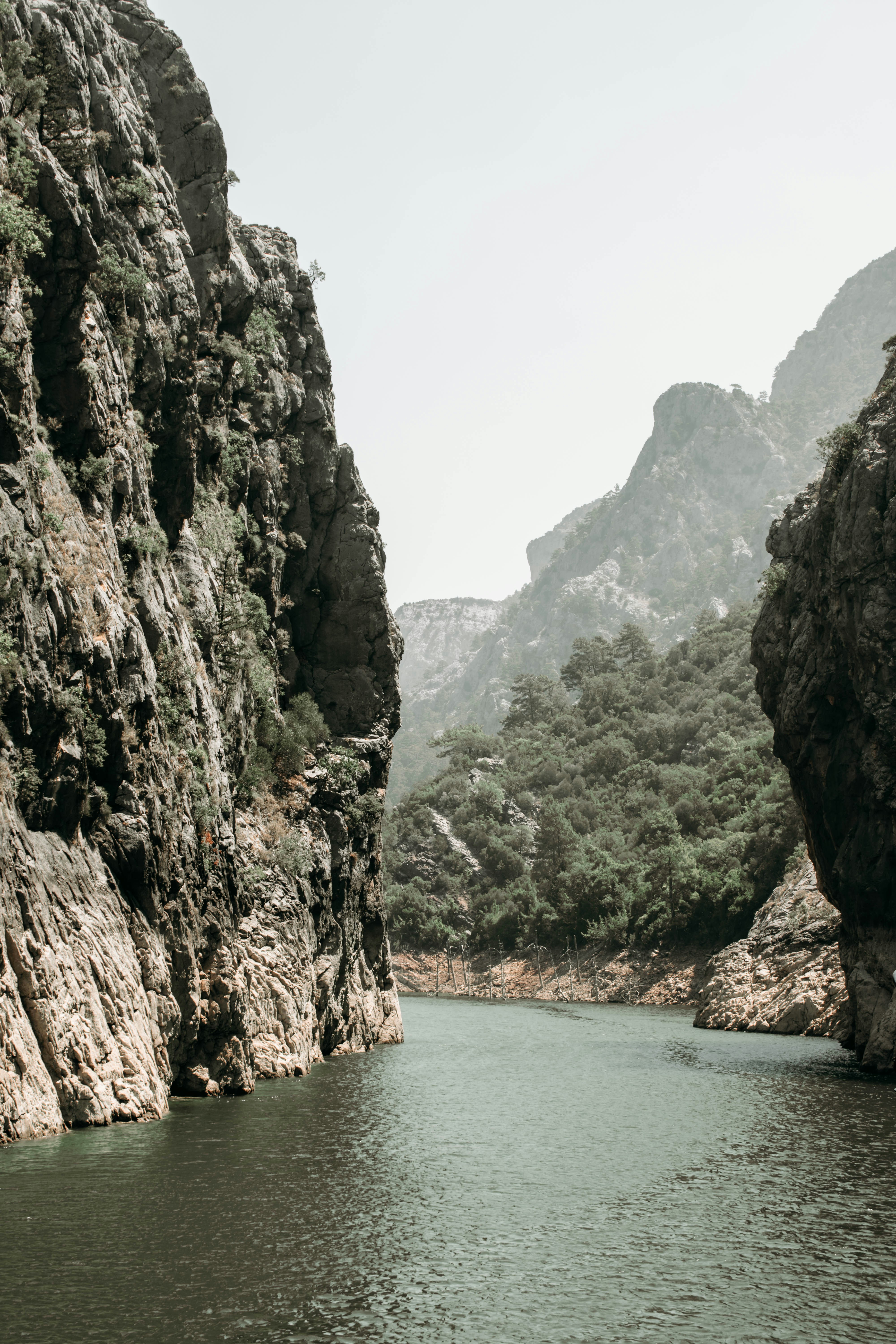 Photo by zanetepetkuna