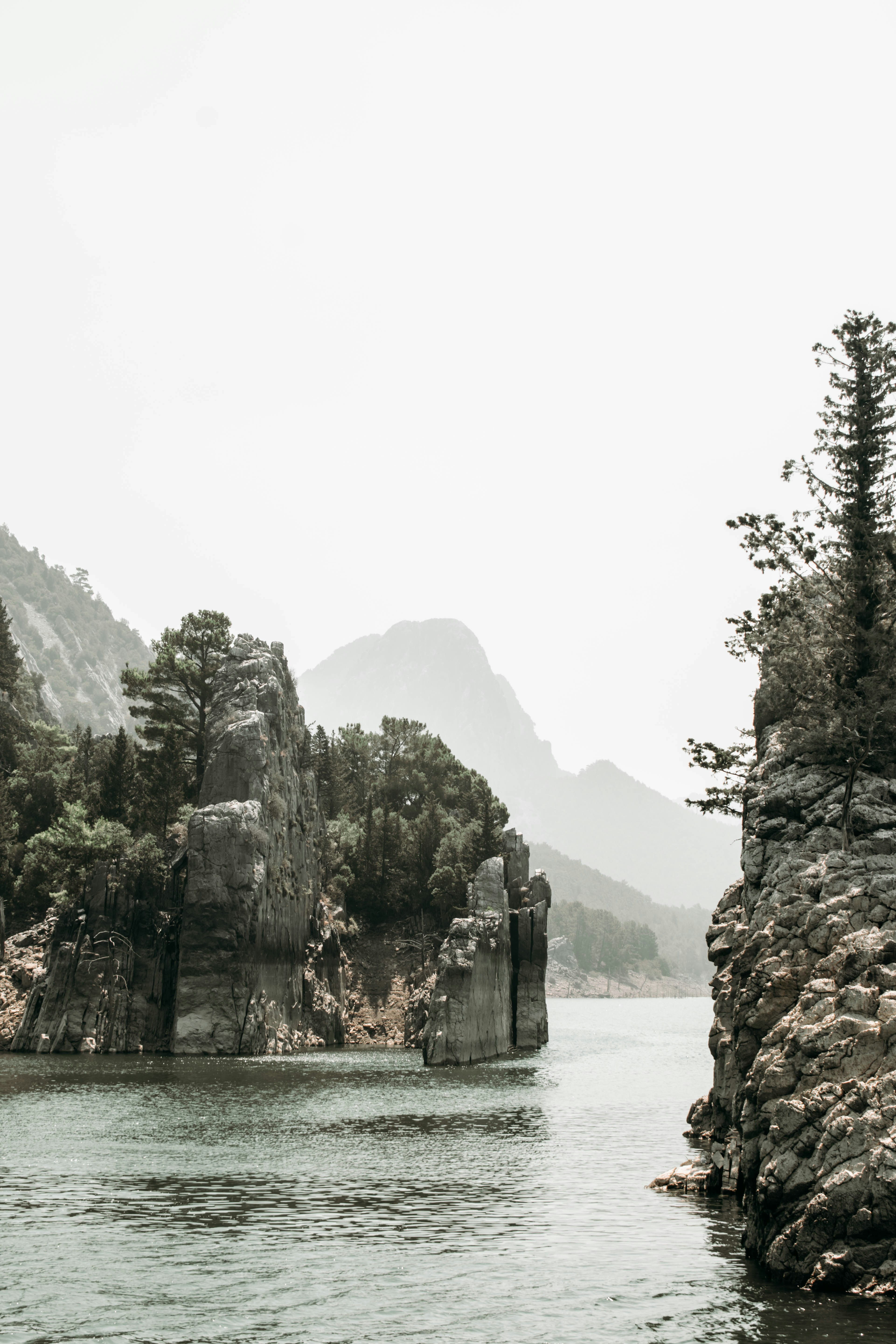 Photo by zanetepetkuna