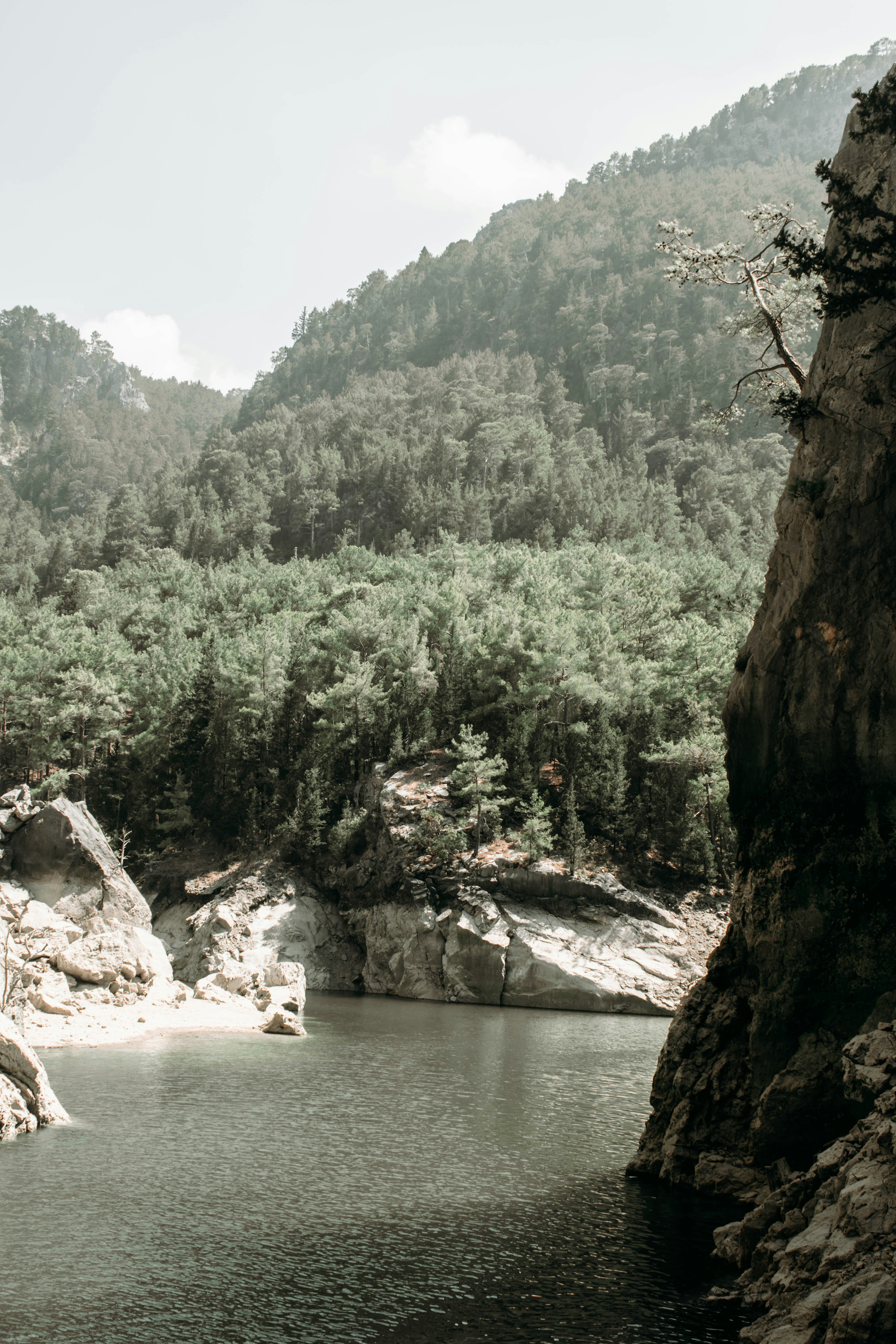 Photo by zanetepetkuna