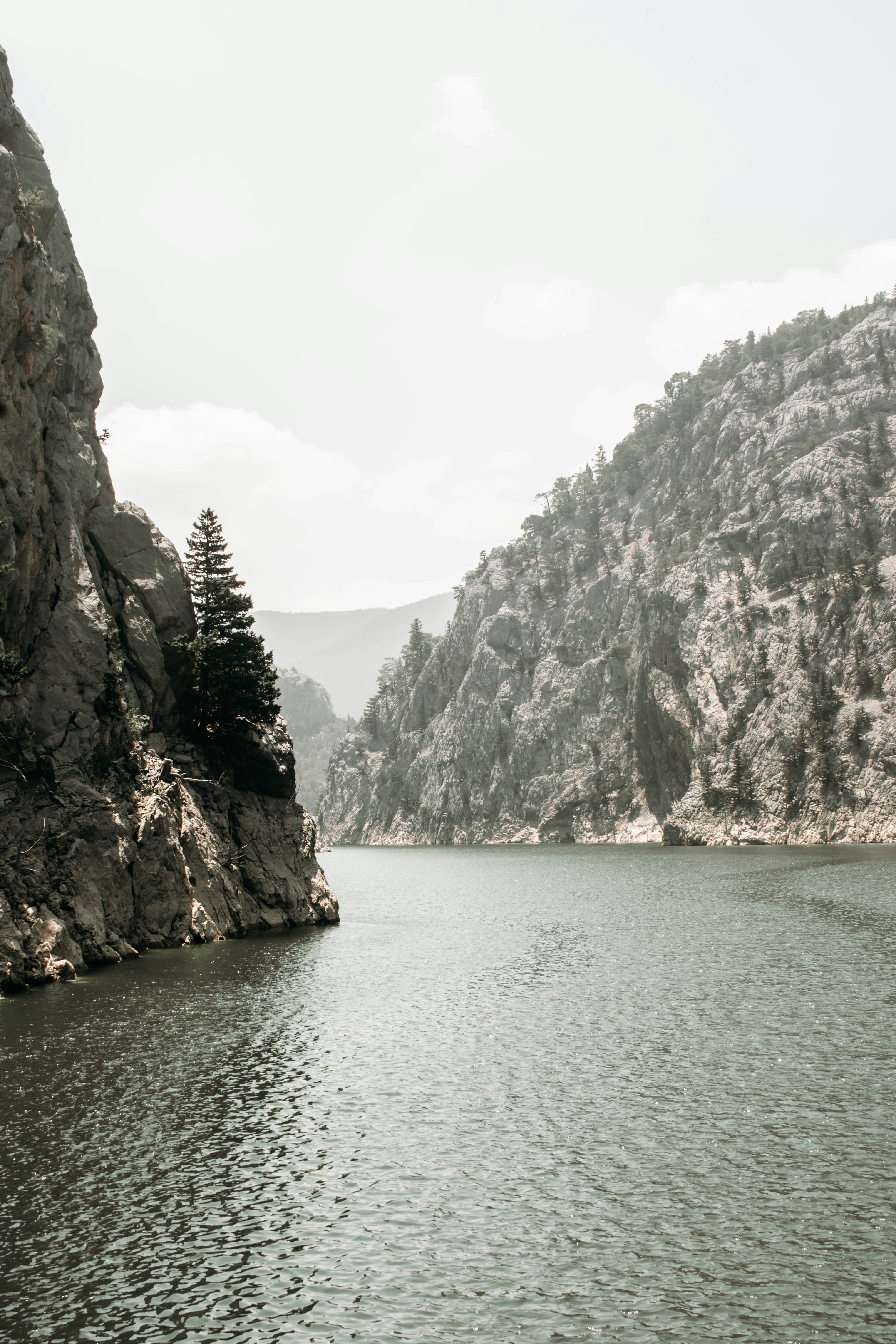 Photo by zanetepetkuna