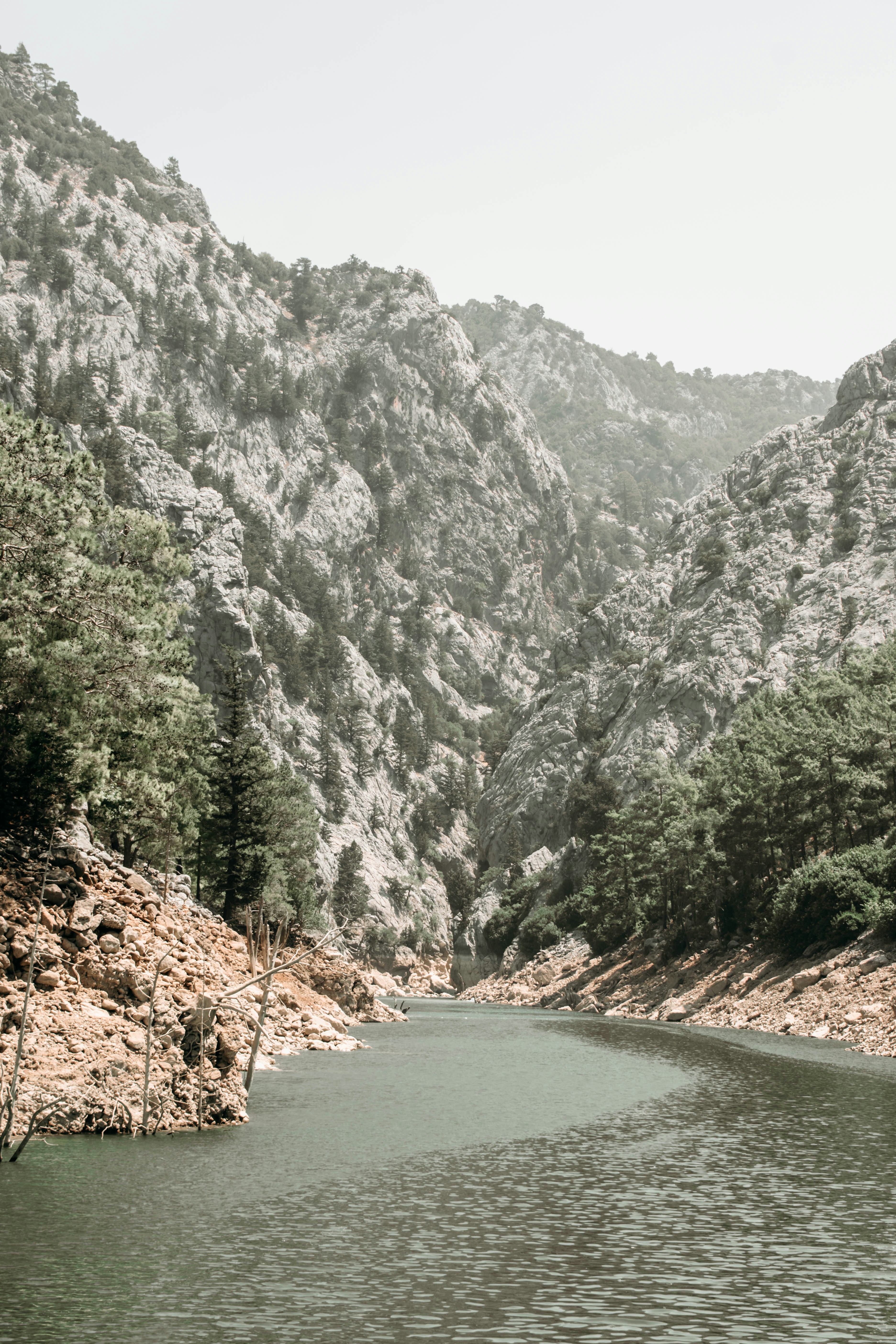 Photo by zanetepetkuna