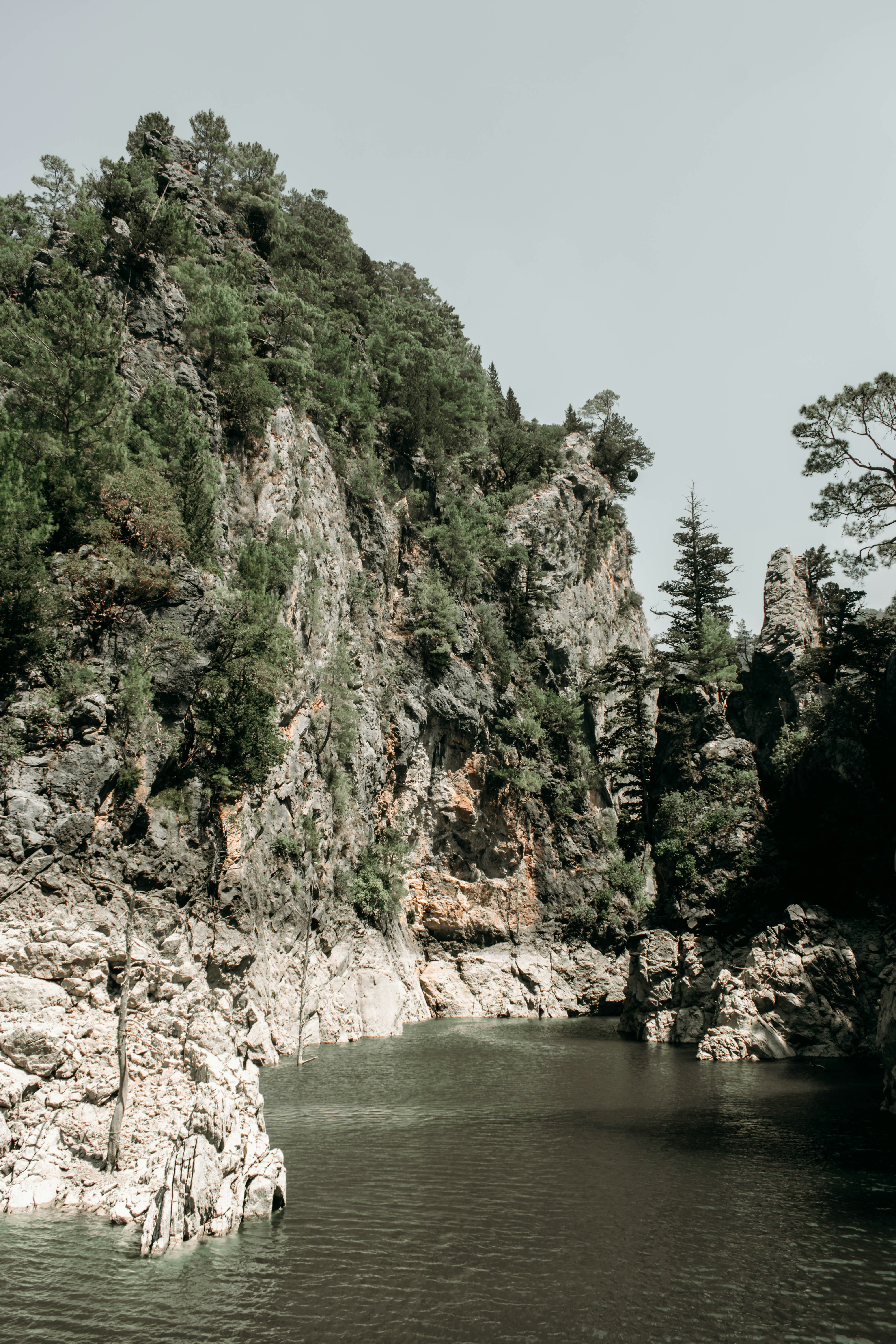 Photo by zanetepetkuna