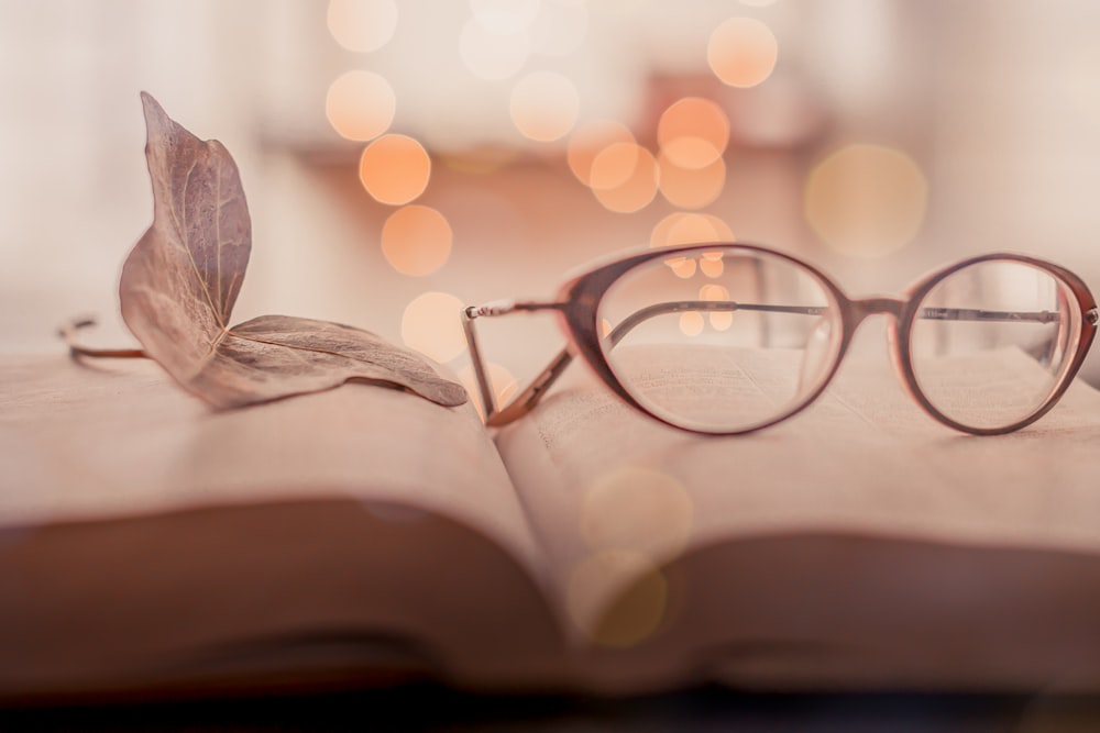 brown framed eyeglasses on book page