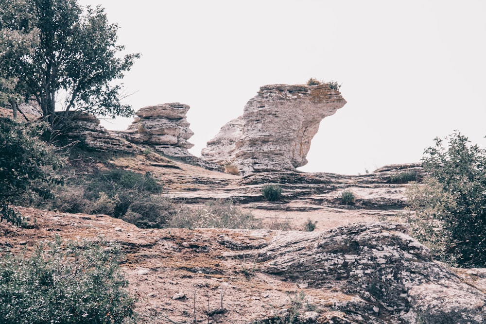 brown rock formation near green trees during daytime