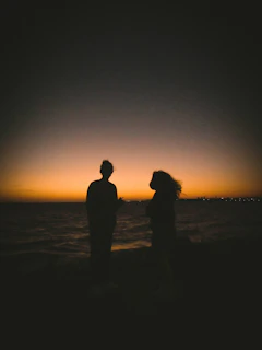 silhouette of 2 person standing on seashore during sunset