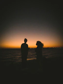 silhouette of 2 person standing on seashore during sunset