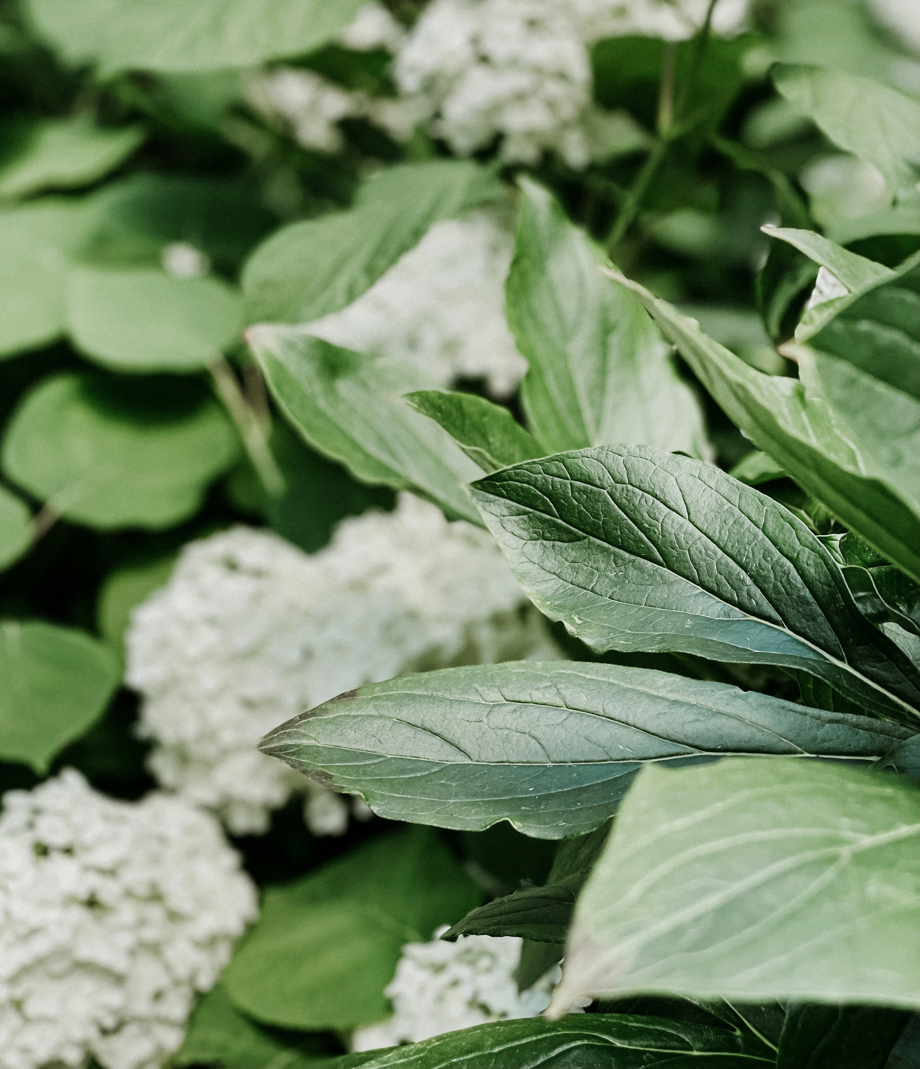 Photo by alina_maria_r