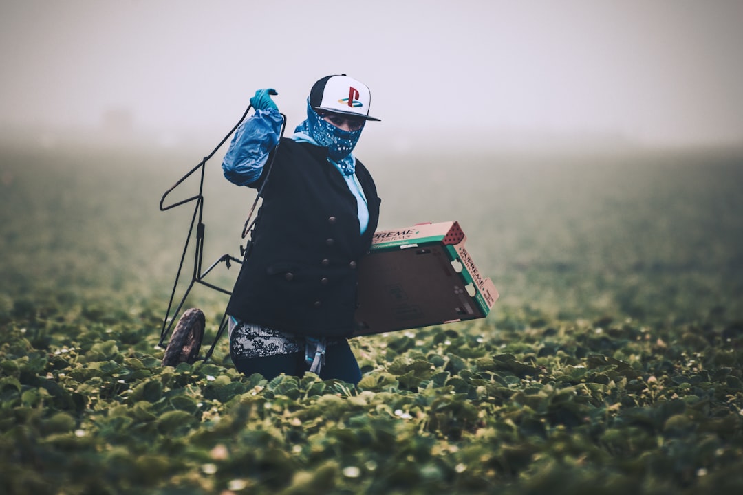 Assessing the Impact of Brexit on the UK's Asylum System and Labor… — Assessing the Impact of Bre…, photo 2