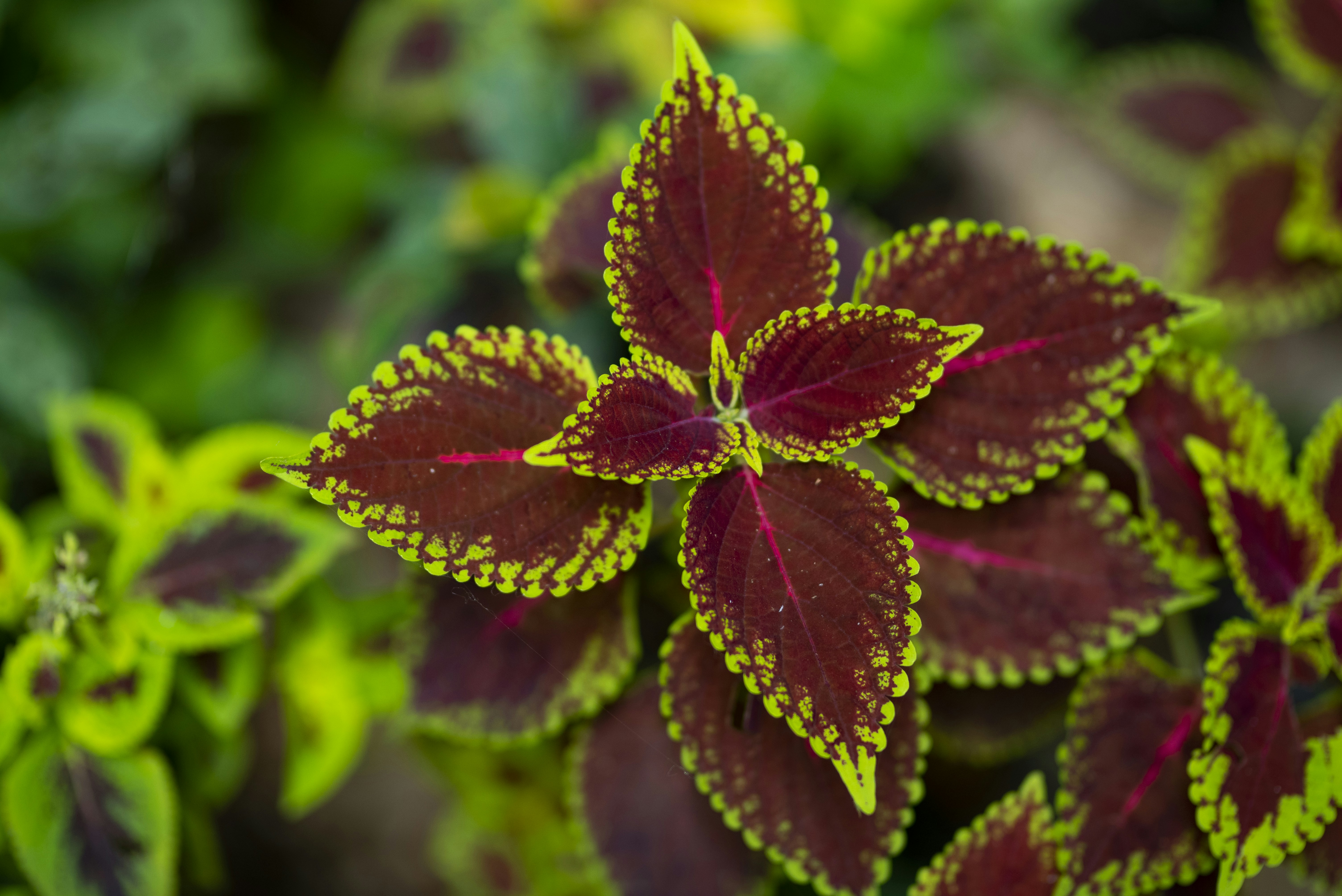 Photo by hrushikesh_bhosale_photography