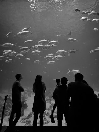 Happy group of students observing fish tanks during an educational visit.