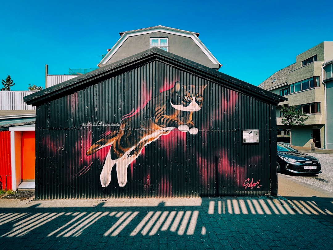 red and black wooden house under blue sky during daytime