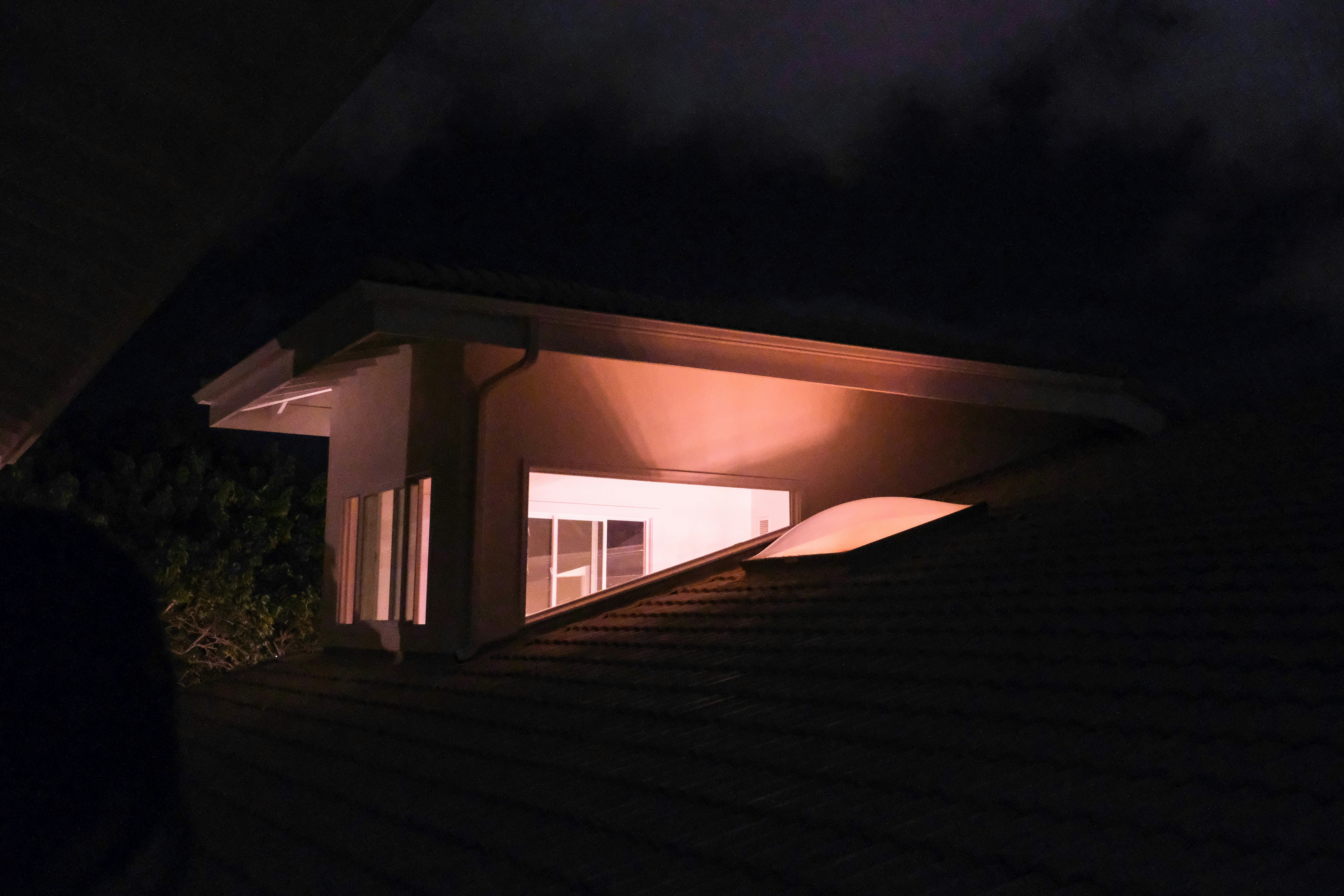 Photo by little_plant