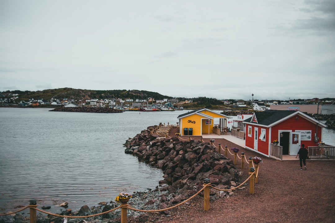 houses near body of water during daytime