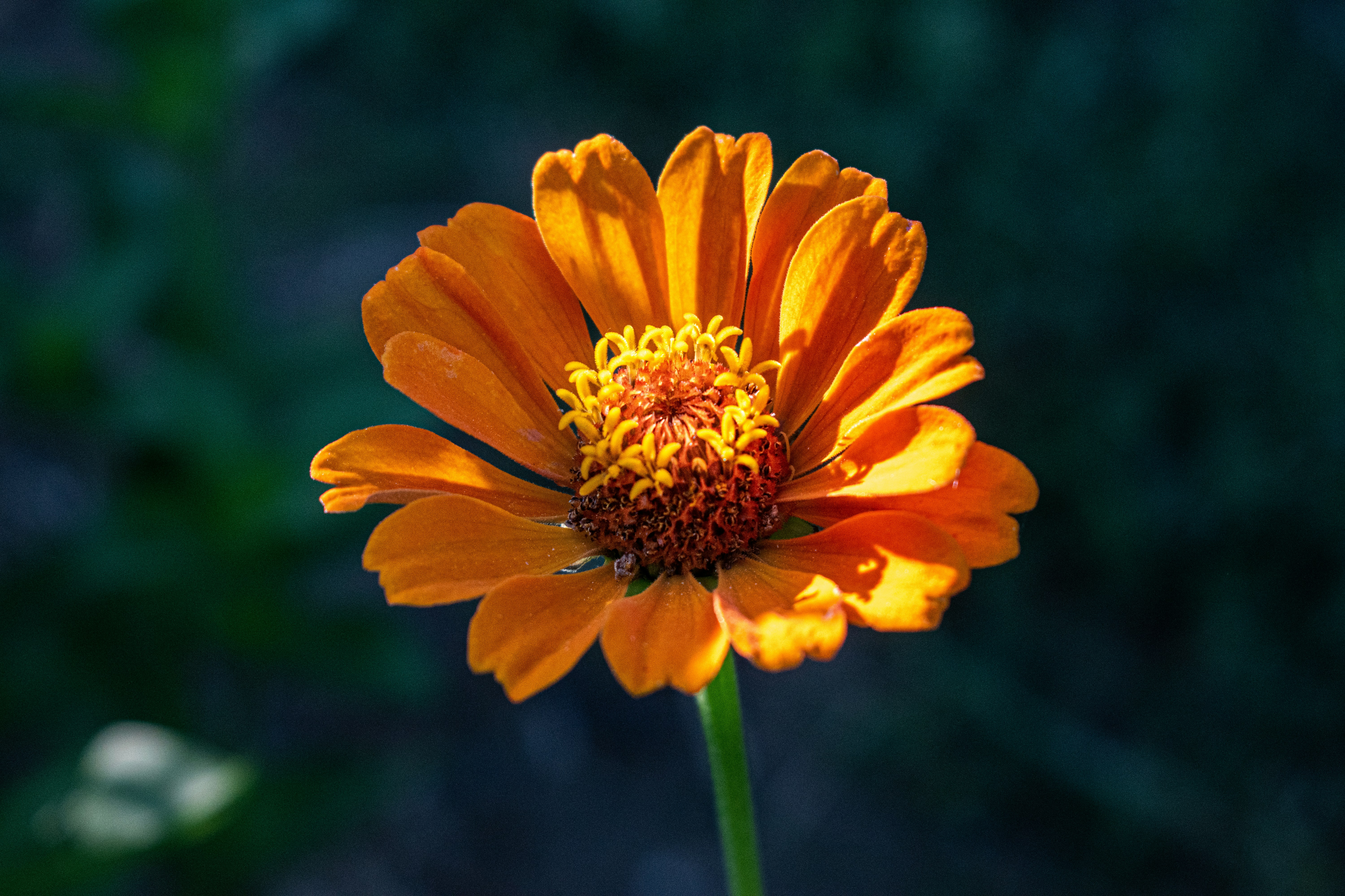 Photo by elisastonephotography