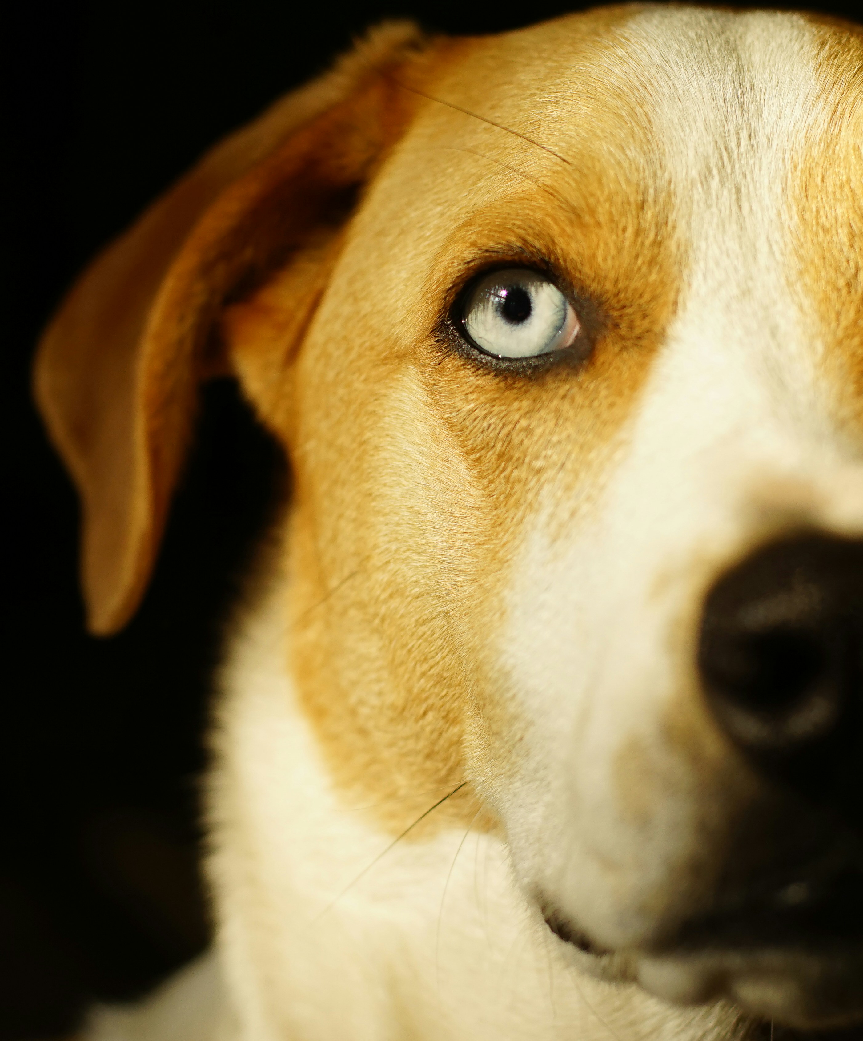 Photo by 33jacksphoto