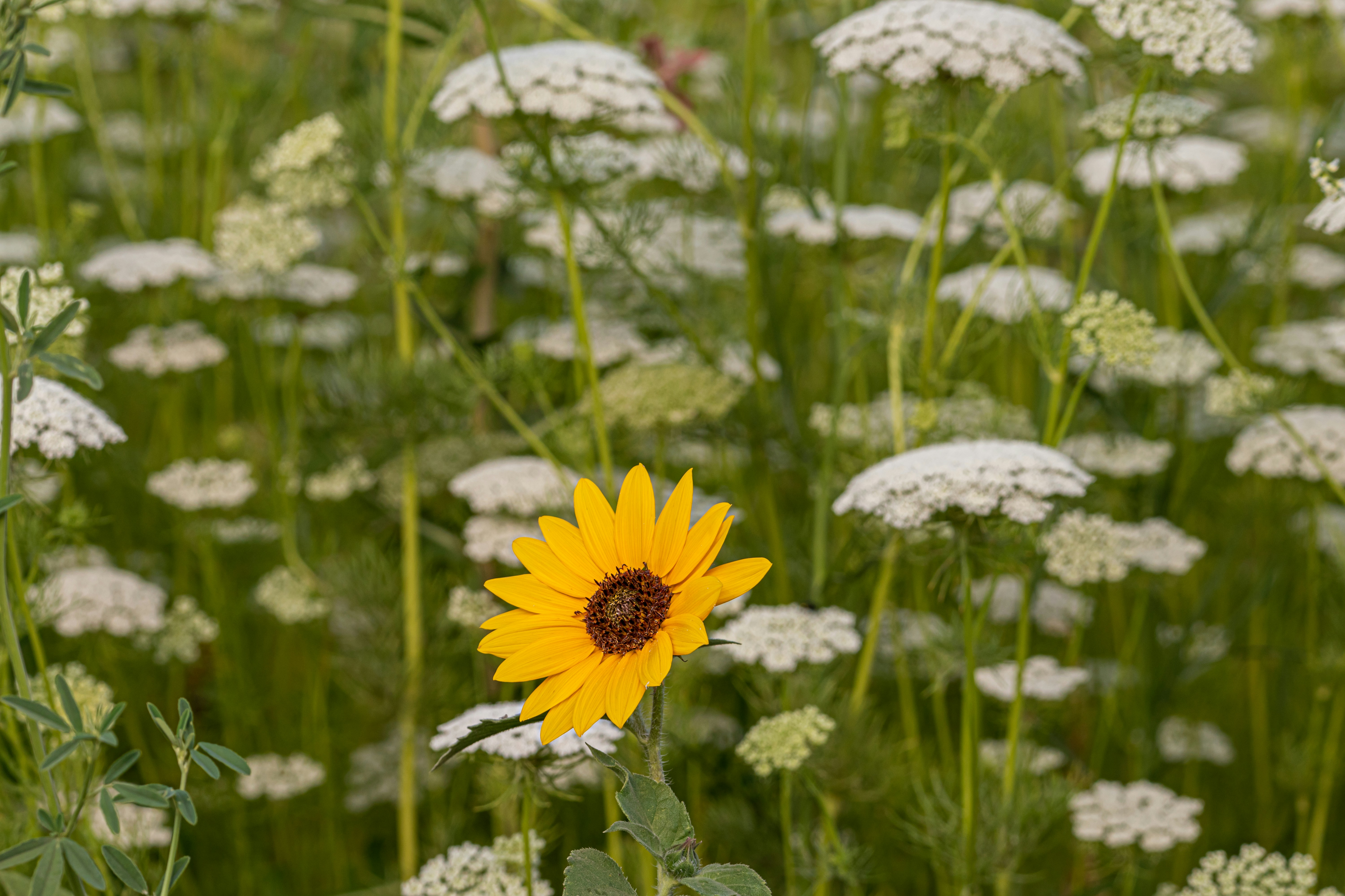 Photo by elisastonephotography