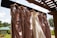 A collection of elegant dresses hanging on wooden hangers under a pergola, with a white lace bridal gown among several mauve bridesmaid dresses. The backdrop is a sunny outdoor setting with a green roofed building and lush greenery.