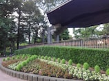 A well-maintained garden with neatly arranged flower beds featuring vibrant green bushes and various colored blooms. The scene is framed by a backdrop of tall, lush trees. To the right, a modern, angular structure with a dark, overhanging roof creates a contrast with the natural surroundings.