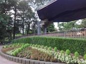 A well-maintained garden with neatly arranged flower beds featuring vibrant green bushes and various colored blooms. The scene is framed by a backdrop of tall, lush trees. To the right, a modern, angular structure with a dark, overhanging roof creates a contrast with the natural surroundings.